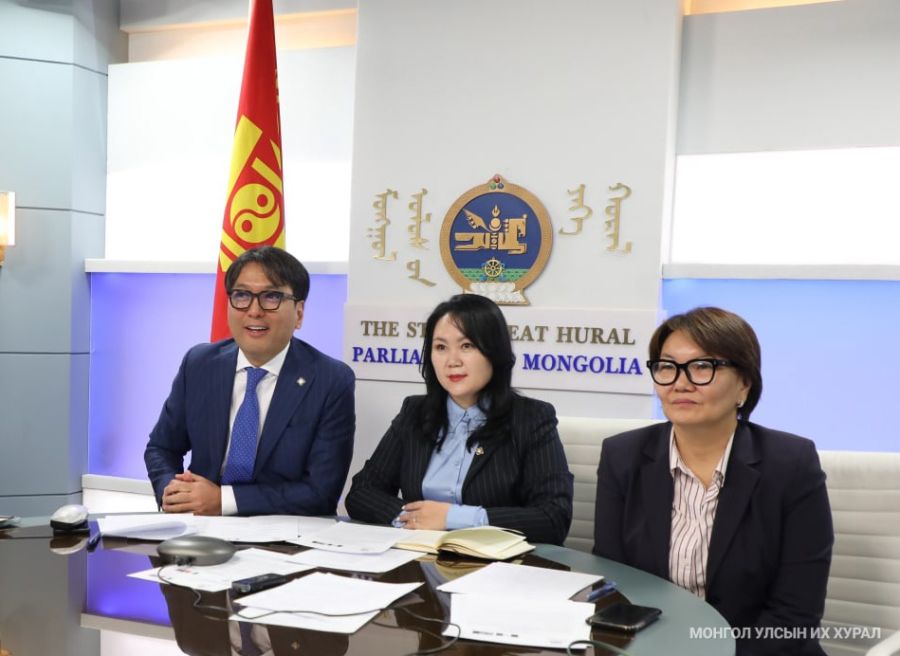 Mongolsko-mexické parlamentní skupiny přátelství pořádají virtuální setkání