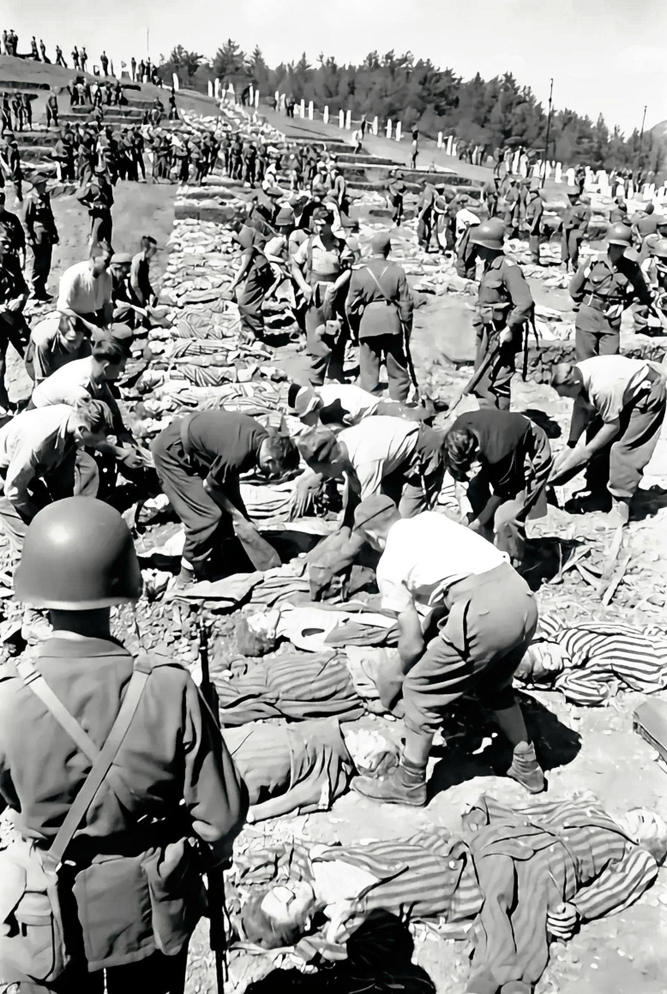 8. května 1945 – v den vítězství v Evropě – objevily americké jednotky 42. pěší divize masové hroby v Leitenbergu poblíž Dachau.