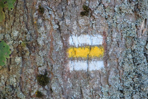 Doc. Ing. Juraj Dvonč, CSc. - primátor města NITRA na Slovensku