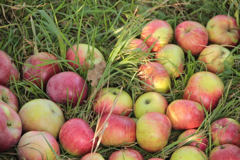 Růst slovenské ekonomiky na úrovni 2,5%