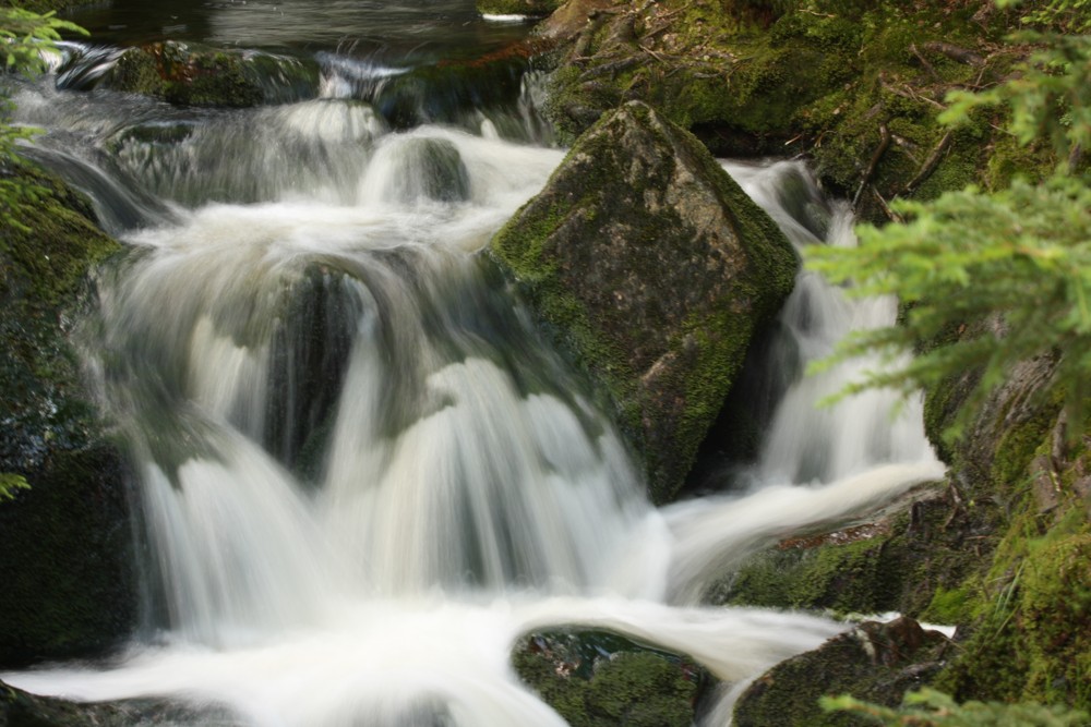 Stavební bytové družstvo v Praze 6 , Praha IČO 00034088