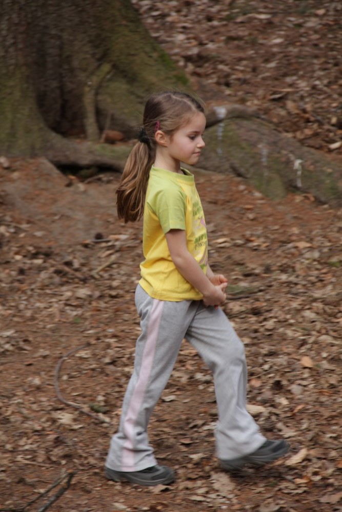 Region střední Evropy profituje z uvolněné měnové politiky ECB