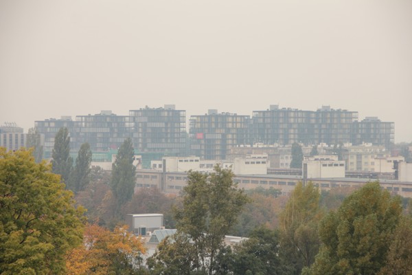 Daring Capital, s.r.o., IČO: 28975839