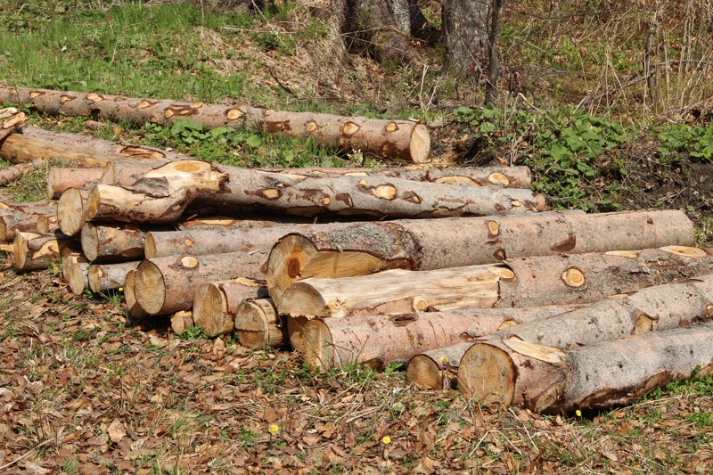 V současné době je lídrem v oblasti nákupu zlata Ruská federace - za posledních sedm let zvýšila své rezervy o 126% nebo o 1210 tun.