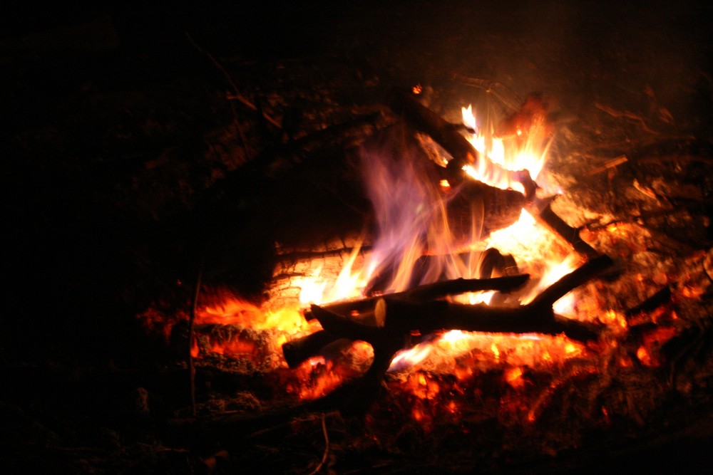 GREEN PROJECT s.r.o. , Průhonice IČO 27195783