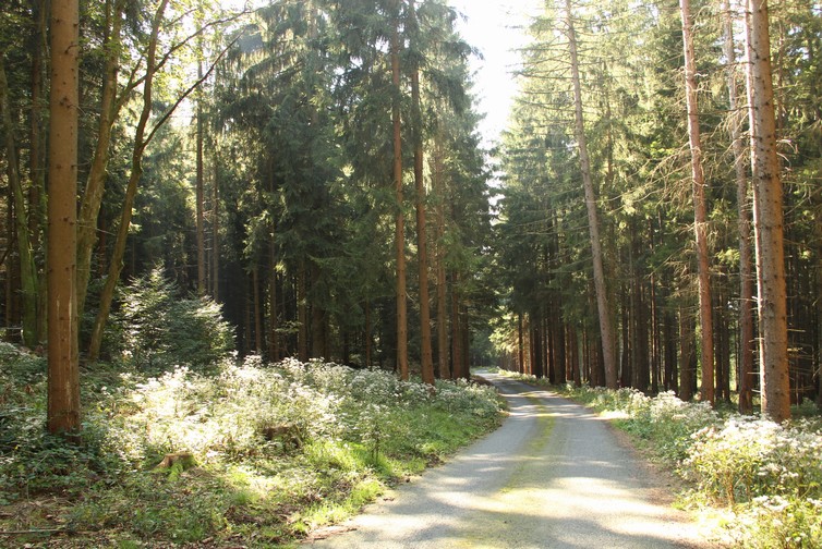 BENESIT s.r.o. , Praha IČO 19972890