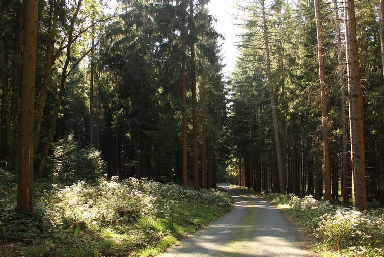 AGUSTA s.r.o. , Praha IČO 27695212