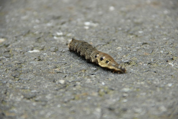 BENESIT s.r.o. , Praha IČO 19972890