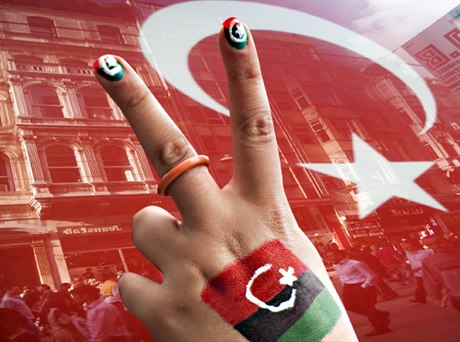 Orientace na islamistické země nebo Turecko jako model pro muslimský svět