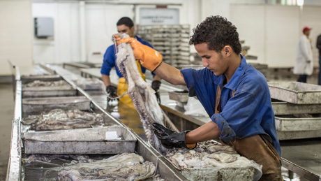 Německo podporuje Mauretánii v rybolovu