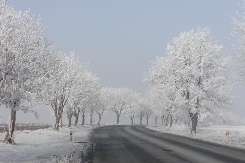 ANDRÉ - klinika estetiky s.r.o. , Průhonice IČO 28882351