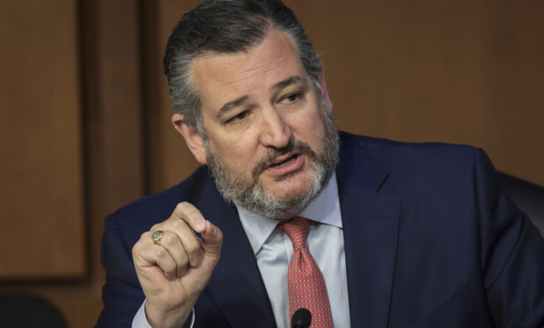 Texaský senátor Ted Cruz podpořil návrh guvernéra státu Grega Abbotta poslat autobusy s migranty do Washingtonu, DC, ale také navrhl poslat je na několik levicově orientovaných míst.